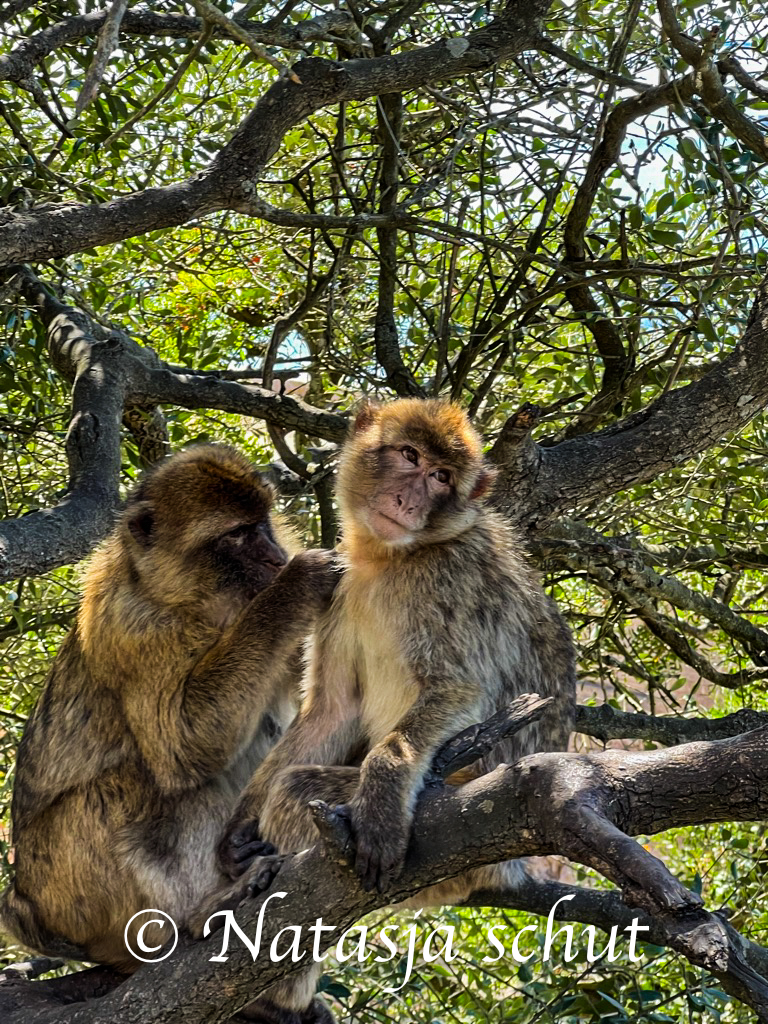 Fotografie Spanje